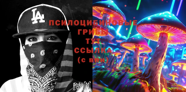ПСИЛОЦИБИНОВЫЕ ГРИБЫ Белоозёрский