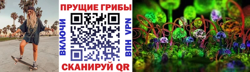 Псилоцибиновые грибы Psilocybine cubensis  Ессентукская 